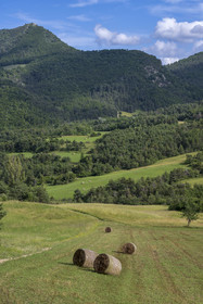 France, Drôme (26), parc naturel régional des Baronnies provençales, Laborel, meules de foin