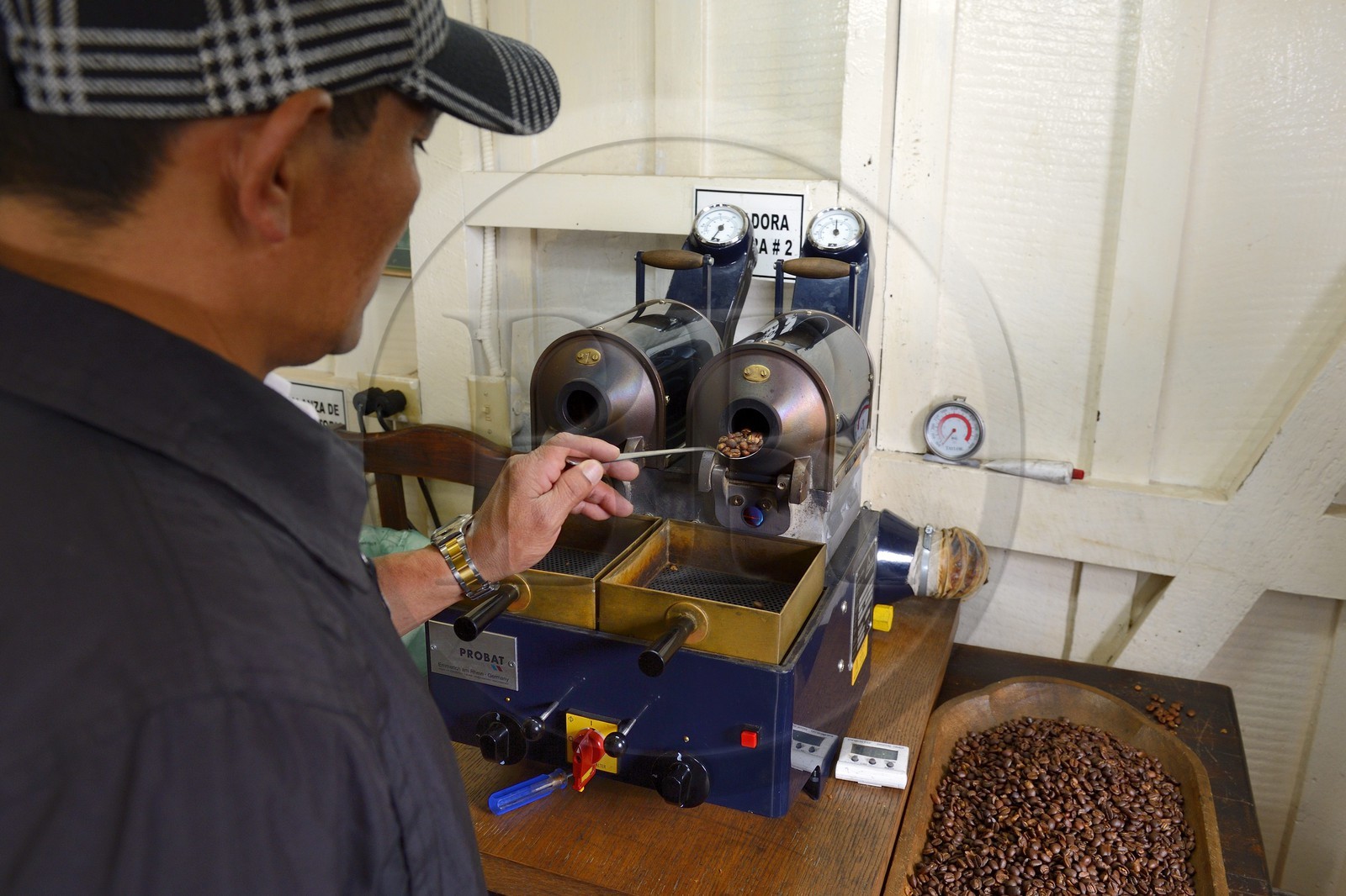 Panama, Chiriqui province, Boquete, Coffee Plantation Finca Lerida, roasting coffee beans