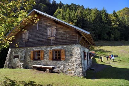 France, Haut Rhin, Ballons des Vosges Regional Natural Park, Storckensohn, La Tete des Perches mountain, the chaume de Gazon vert (extensive altitude grazing), the refuge in a former farm