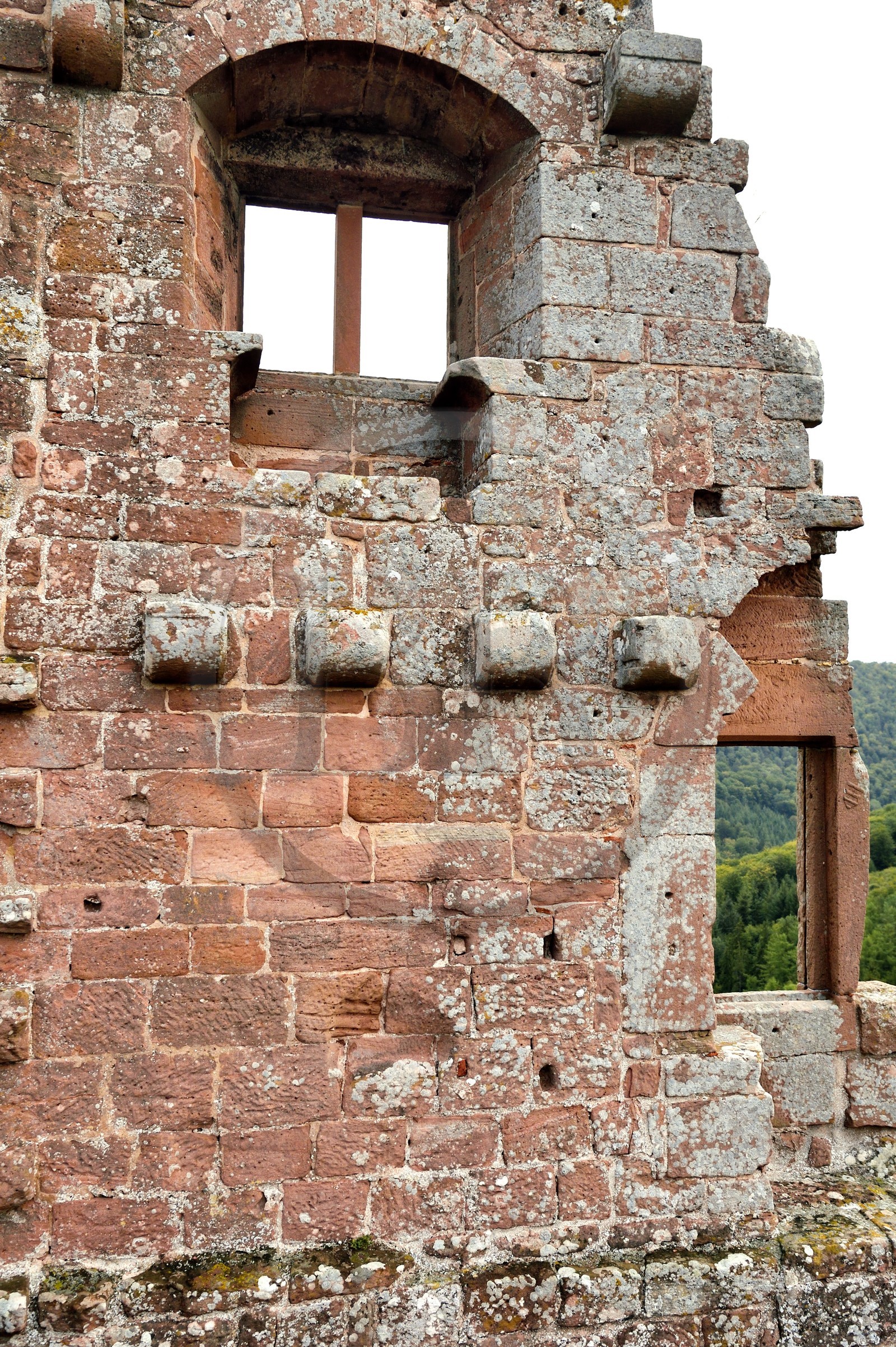 France, Bas-Rhin (67), Parc naturel régional des Vosges du Nord, Lembach, chateau de Fleckenstein, le logis du seigneur