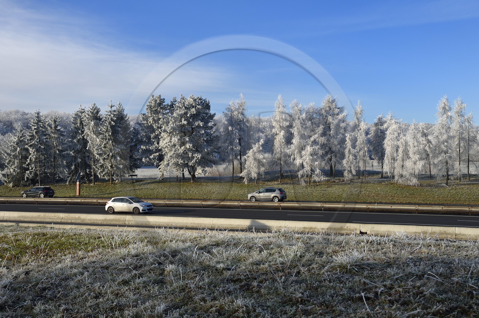 France, Bas Rhin, Saverne region, frosted trees along the A4 motorway