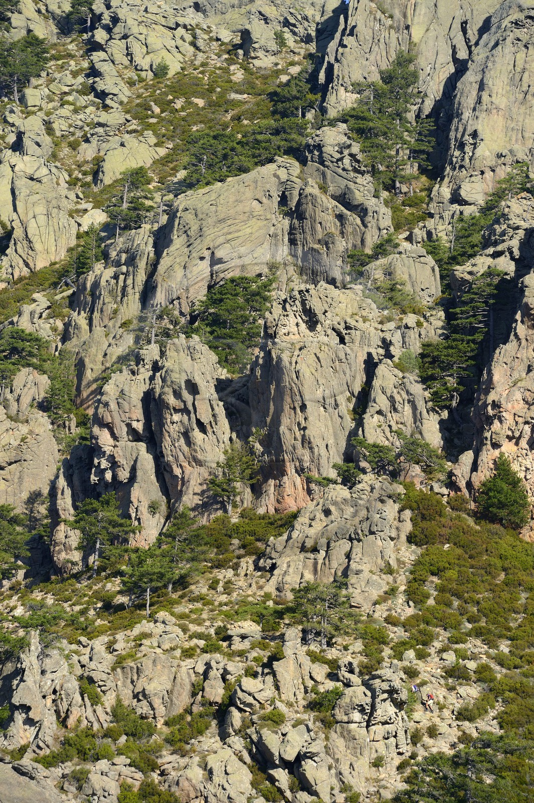 France, Corse-du-Sud (2A), Alta Rocca, Aiguilles de Bavella, randonneurs sur la variante alpine de l'étape du GR 20
