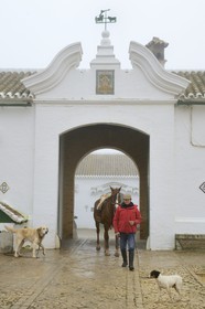 Spain, Andalusia, Seville Province, Utrera, Finca El Pinganillo, the property stud