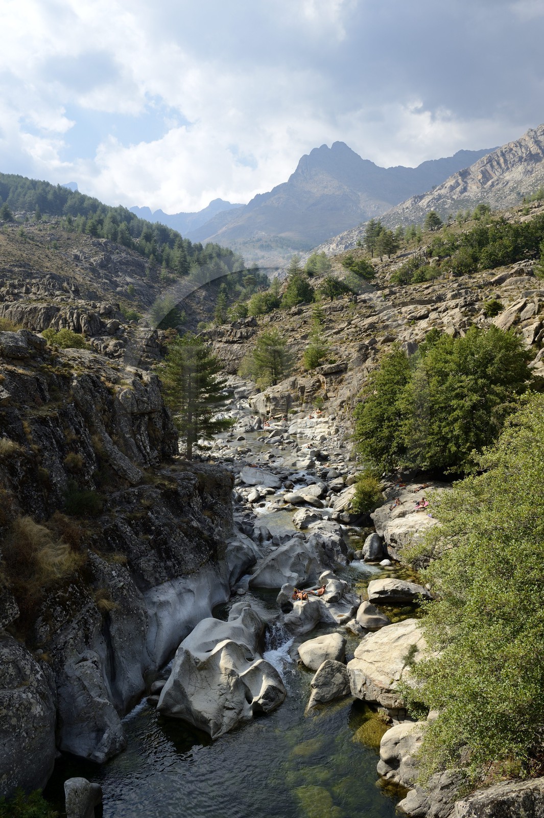 France, Haute Corse, Niolu (Niolo) region, swimming in the Golo river around the Genoese bridge Ponte Altu