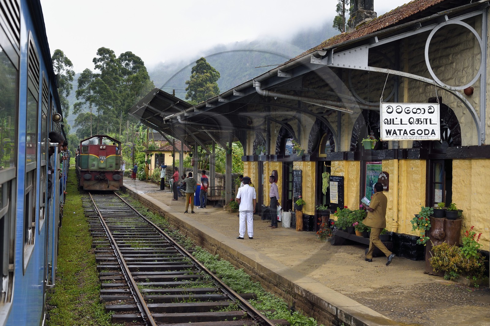 Sri Lanka, Province du Centre, trajet en train dans la région montagneuse de la culture du thé entre Hatton et Ella, entrée du train en gare de Watagoda