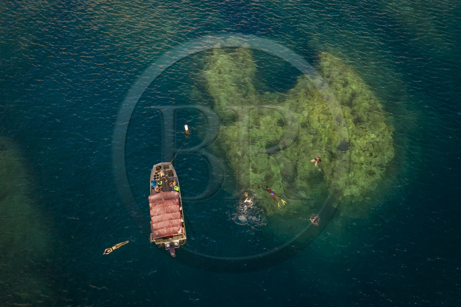 Caraïbes, Ile de la Dominique, baie de Soufrière, snorkeling au dessus d'un récif corallien (vue aérienne)