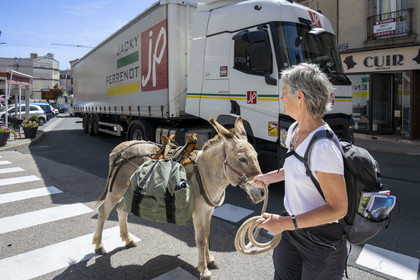 France, Lozère (48), Langogne, randonnée avec un âne sur le chemin de Stevenson (GR 70), l'âne Anatole doit aussi affronter la circulation en traversant la route nationale