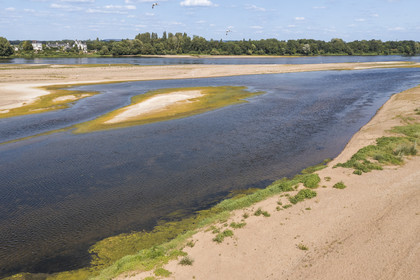 France, Maine-et-Loire, Loire valley listed as World Heritage by UNESCO, Gennes-Val-de-Loire, sandbanks forming islands on the Loire (aerial view)