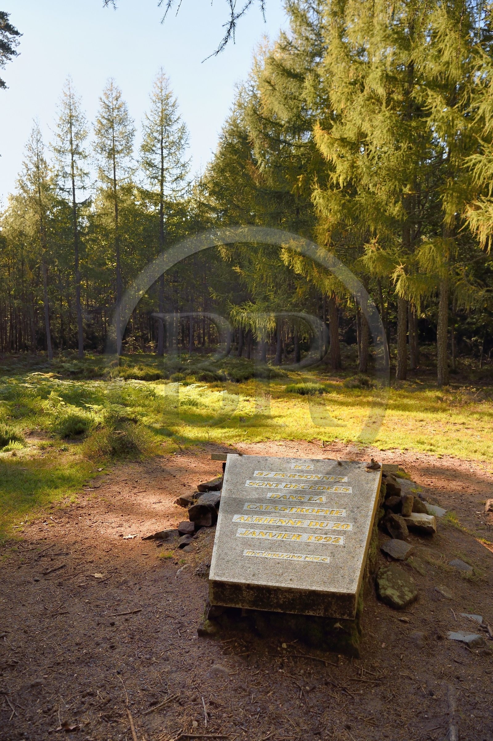 France, Bas-Rhin (67), Ottrott, Mont Sainte-Odile, plaque commémorative sur le site du crash de l'Airbus A320 le 20 janvier 1992 faisant 87 morts sur les hauteurs de La Bloss