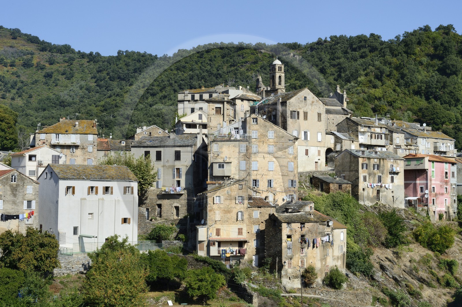 France, Haute Corse, Casinca region in Castagniccia, perched village of Vescovato