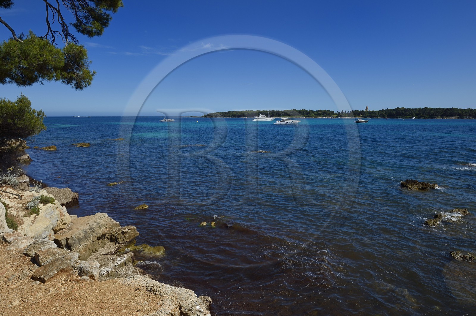 France, Alpes-Maritimes (06), Cannes, Iles de Lérins, Ile Sainte-Marguerite, la côte sud fait face à l'Ile de Saint-Honorat