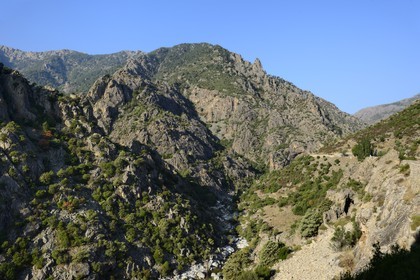 France, Haute-Corse (2B), région du Niolu (Niolo), le défilé rocheux de la Scala di Santa Regina et la rivière de Golo