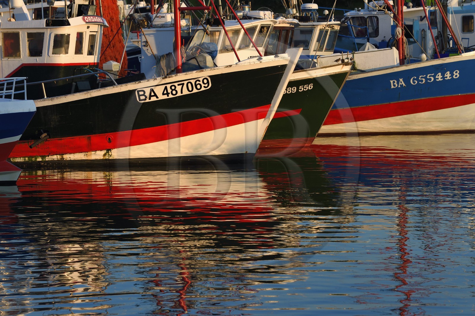 France, Pyrenees Atlantiques, Basque Country, Saint Jean de Luz, the fishing port
