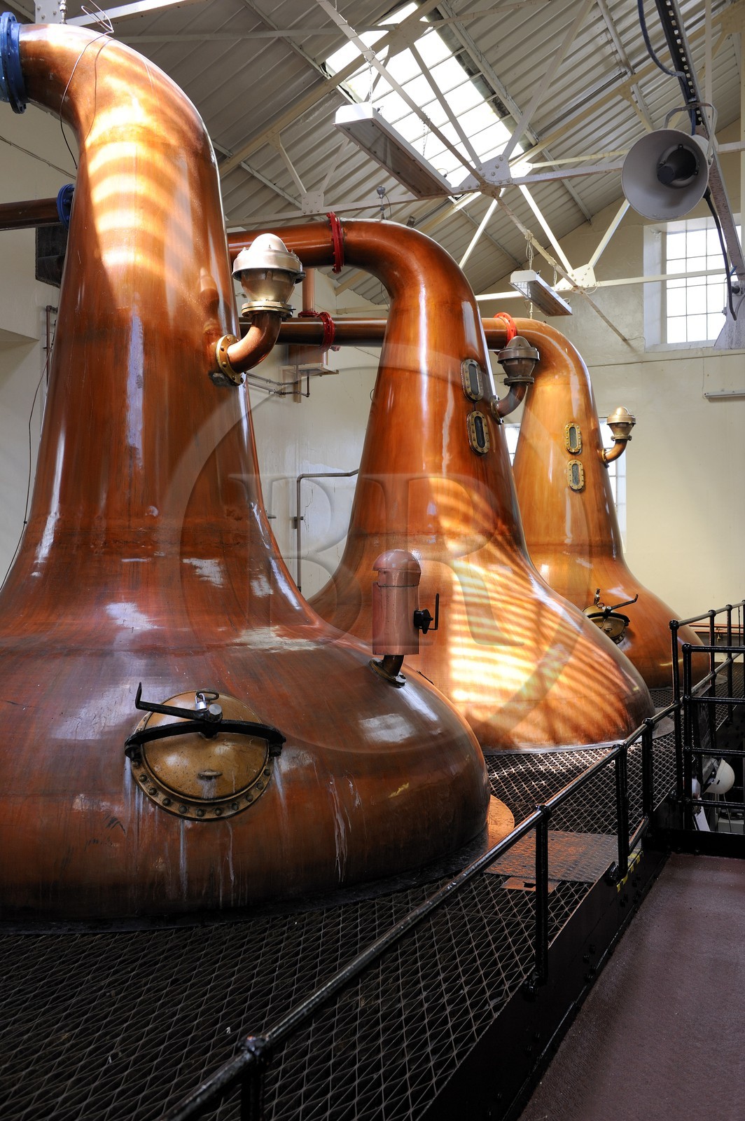 Royaume-Uni, Ecosse, Iles Orcades, Kirkwall, distillerie de whisky Highland Park, distillation du wash dans des alambics en cuivre Pot-stills