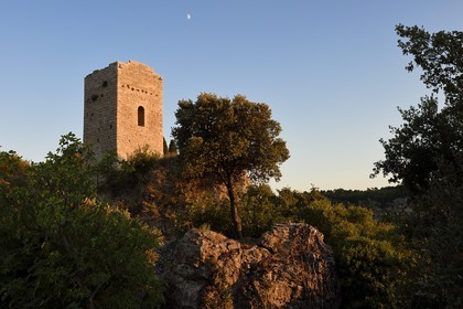 France, Var (83), La Dracénie, village de Châteaudouble, ruines de la tour sarrasine du VIIIème siècle