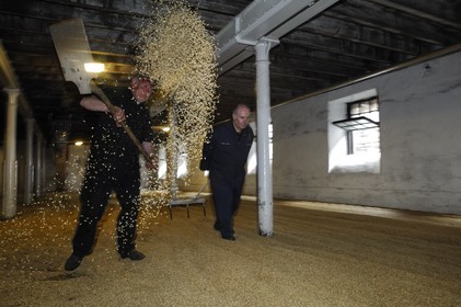 Royaume-Uni, Ecosse, Iles Orcades, Kirkwall, distillerie de whisky Highland Park, plancher de maltage