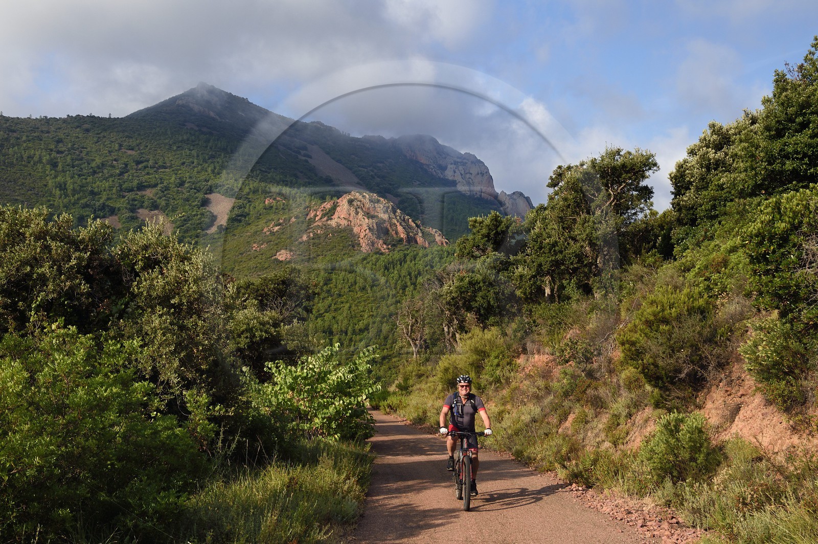 France, Var, Agay area next to Saint-Raphael, Massif de l'Esterel (Esterel Massif), Massif of Cap Roux, cyclist and mountain of Sainte-Baume in the background