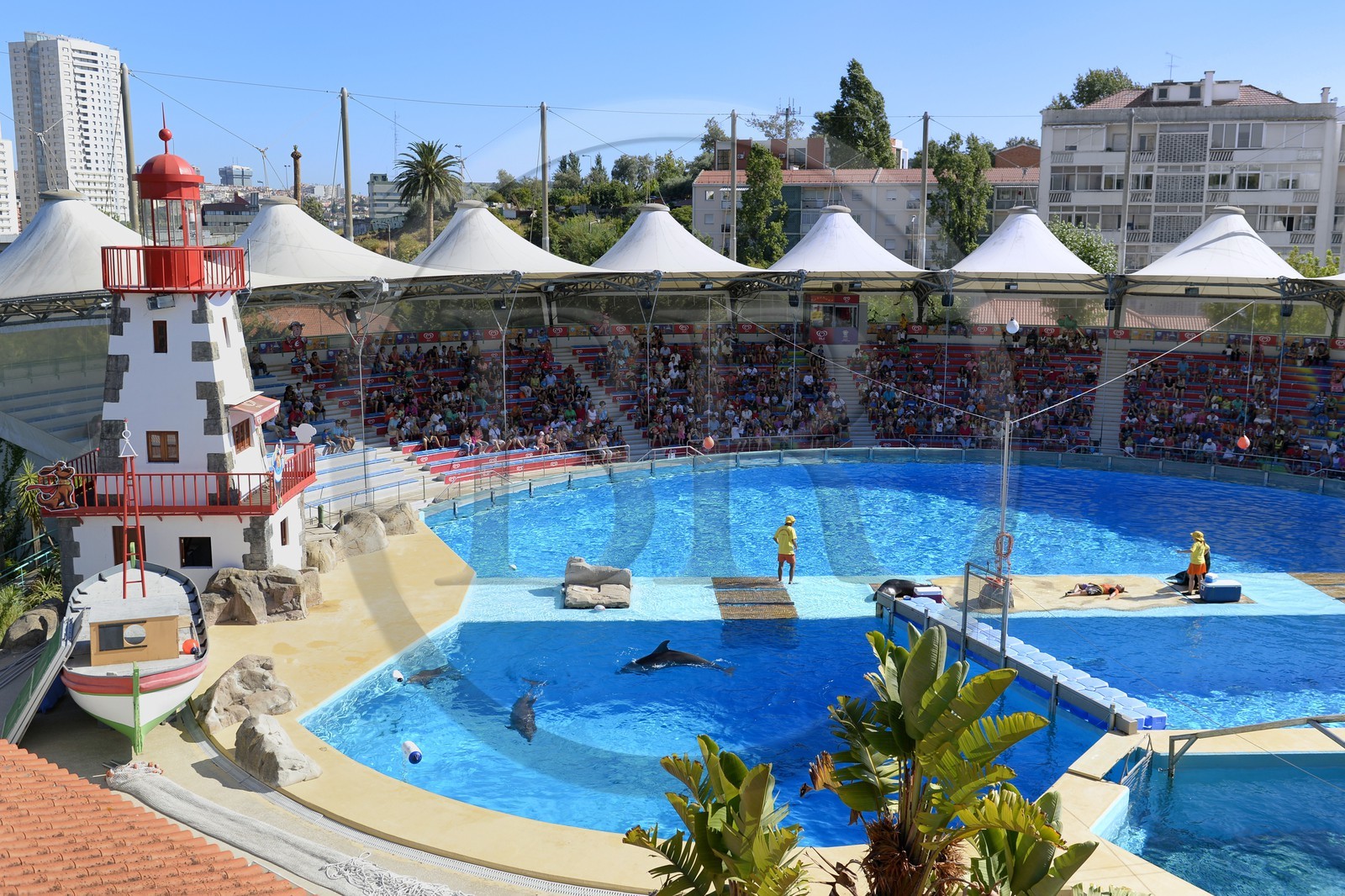 Portugal, Lisbonne, Jardin zoologique, le delphinarium