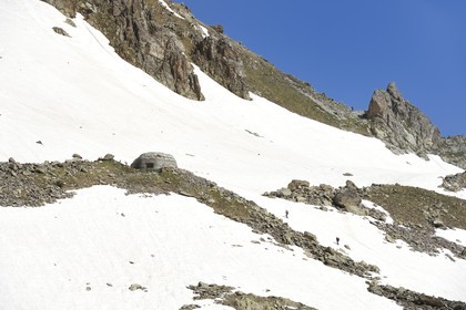 France, Alpes-Maritimes (06), parc national du Mercantour, Haute-Vésubie, randonnée dans le vallon de la Madone de Fenestre, des bouquetins errant près des forts construits par les Italiens près du col de Fenestre