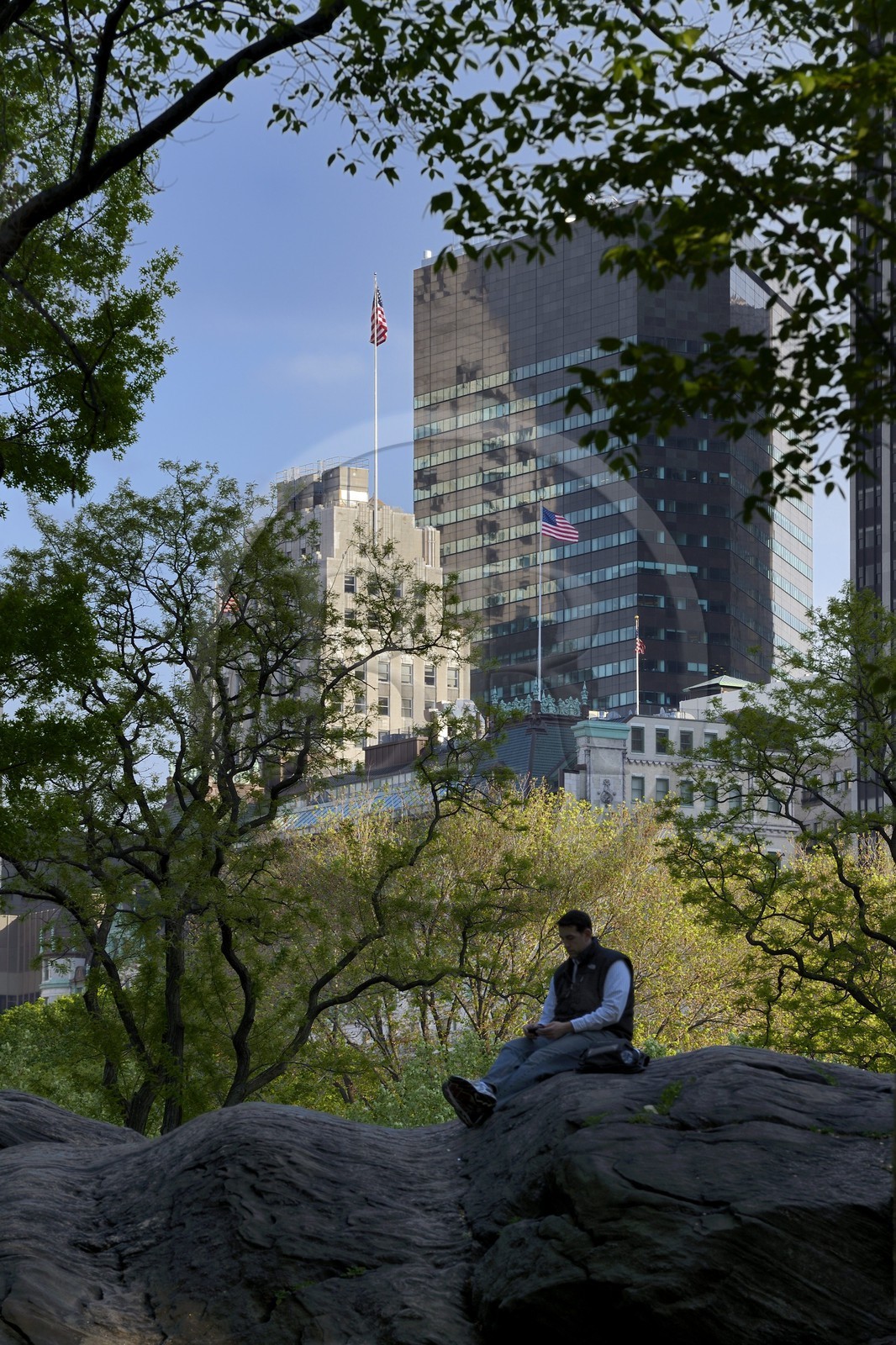 Etats-Unis, New York, Manhattan, Central Park, immeubles sur Central Park Sud
