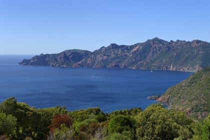 France, Corse-du-Sud (2A), Golfe de Girolata, classé Patrimoine Mondial de l'UNESCO, et la Réserve naturelle de la presqu'île de Scandola en arrière plan