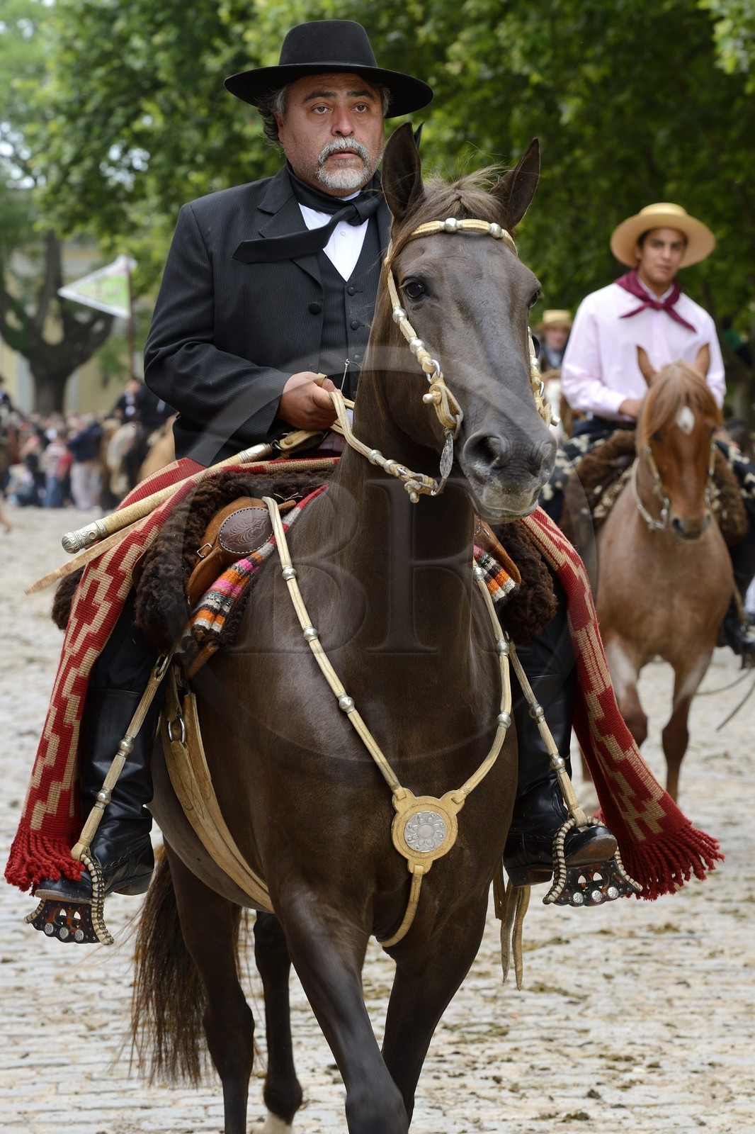 Argentina, Buenos Aires Province, San Antonio de Areco, Tradition Day festival (Dia de Tradicion), gaucho on horseback in traditional dress during the parade, estanciero (gaucho who owns a ranch)