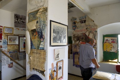 Spain, Andalusia, Seville Province, Utrera, the property El Toruno, breeding of fighting bulls