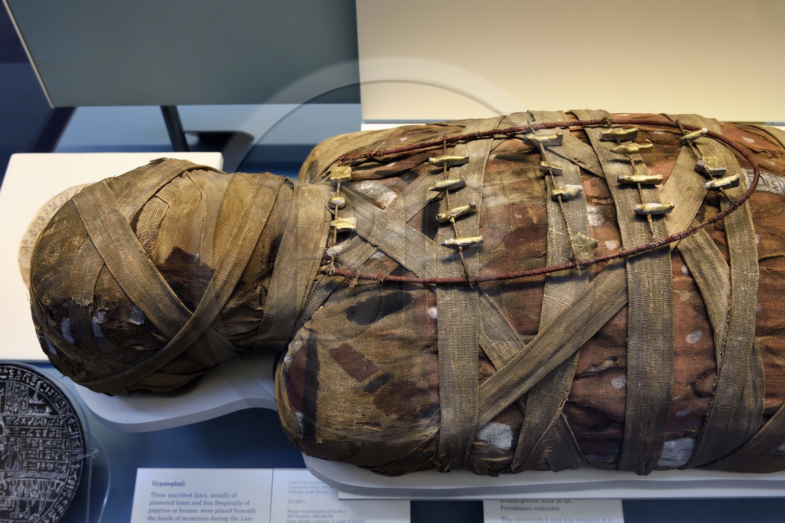 Royaume-Uni, Londres, quartier de Bloomsbury, le British Museum, Egypte ancienne, momie d'un homme avec des amulettes sur un cadre, époque romaine après 30 avant JC