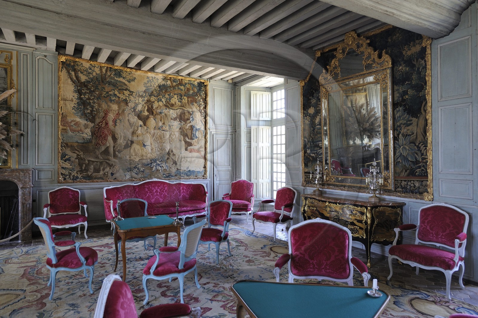 France, Loir et Cher, Chateau de Talcy, the living room