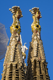 Spain, Catalonia, Barcelona, Eixample district, Sagrada Familia basilica by Catalan modernist architect Antoni Gaudi, listed as a UNESCO World Heritage Site, Venetian mosaic pinnacle of the Towers of the Apostles, one of the four 135-metre bell towers surrounding the central ciborium whose pinnacle is crowned by the winged bull, symbol of Saint Luke