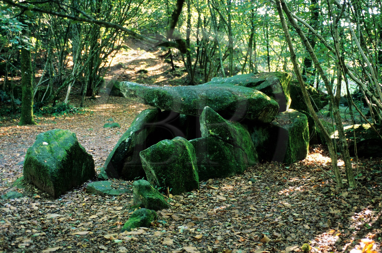 France, Mayenne, dolmen of the Contrie close to Ernee