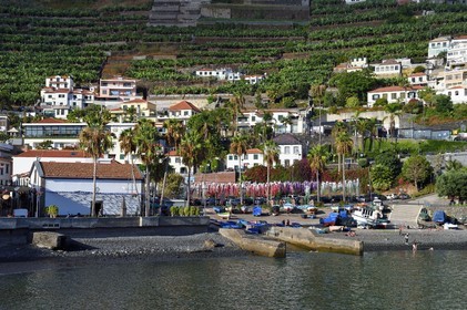 Portugal, Ile de Madère, le port village de pêcheurs de Camara de Lobos