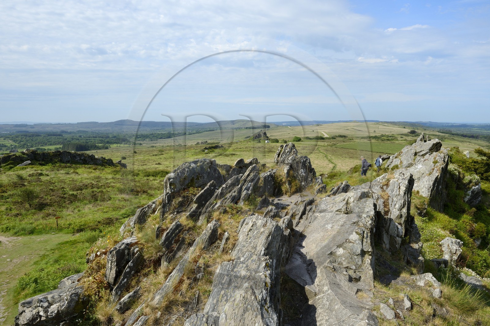 France, Finistère (29), parc naturel régional d'Armorique, Plounéour-Ménez, Roc-Trevezel et les Monts d'Arrée