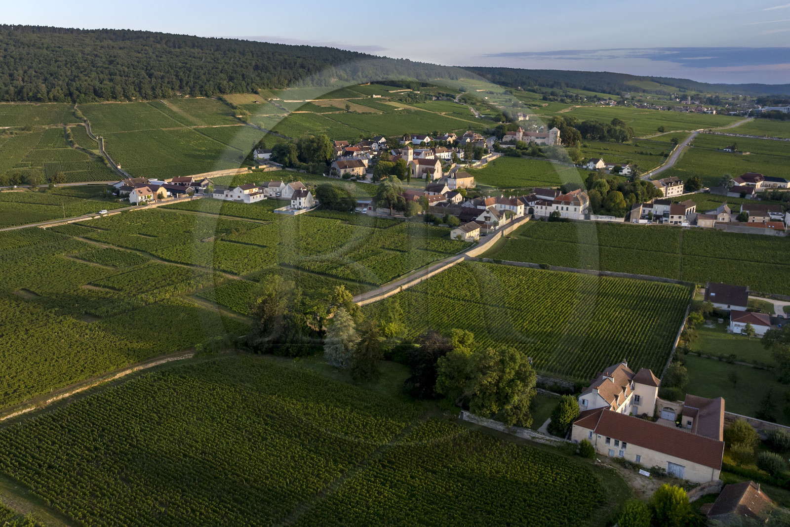 France, Côte-d'Or (21), Paysage culturel des climats de Bourgogne classés Patrimoine Mondial de l'UNESCO, Route des Grands Crus, vignoble de la Côte de Nuits à Gevrey-Chambertin (vue aérienne)