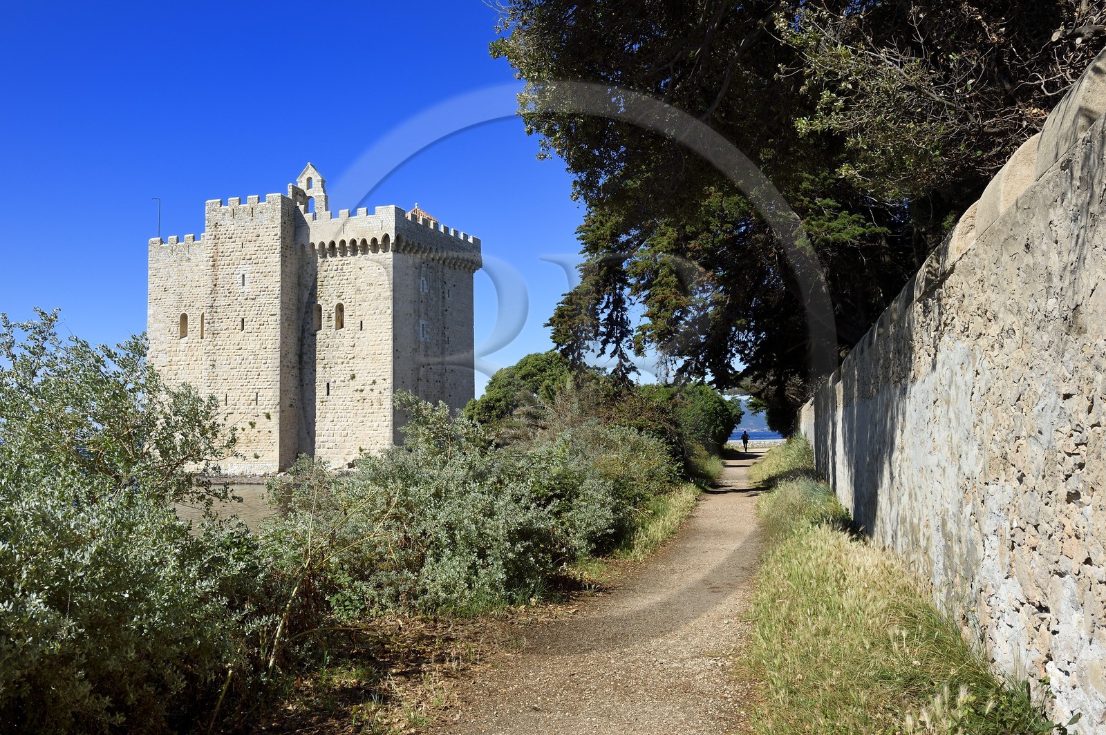 France, Alpes-Maritimes (06), Cannes, Iles de Lérins, Ile de Saint-Honorat, Abbaye de Lérins, ancien monastère fortifié élevé en 1073