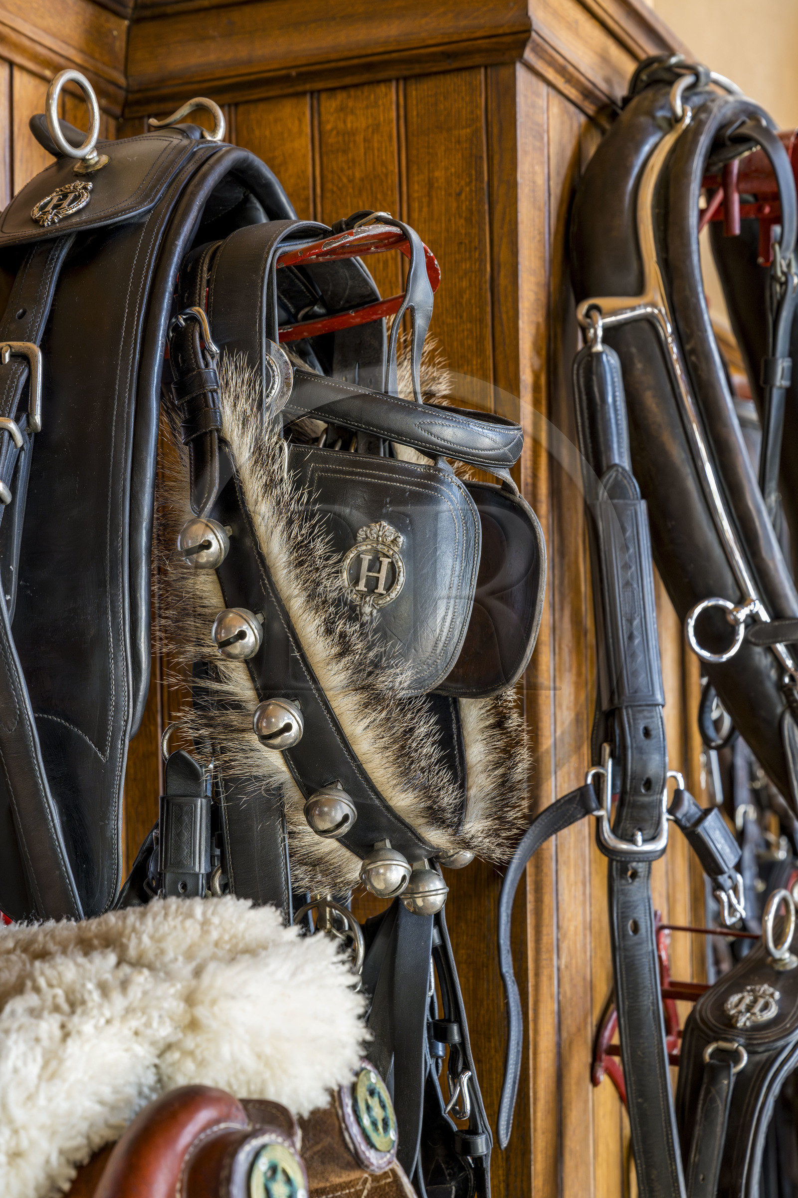 France, Vendée (85), La Roche-sur-Yon, sellerie d'honneur du Haras de la Vendée ancien haras national conçu par Joseph Mallet (1846)