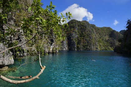 Philippines, Calamian Islands in northern Palawan, Coron Island Natural Biotic Area, Kayangan Lake surrounded by steep cliffs and Karst rock formations made of Permian limestone