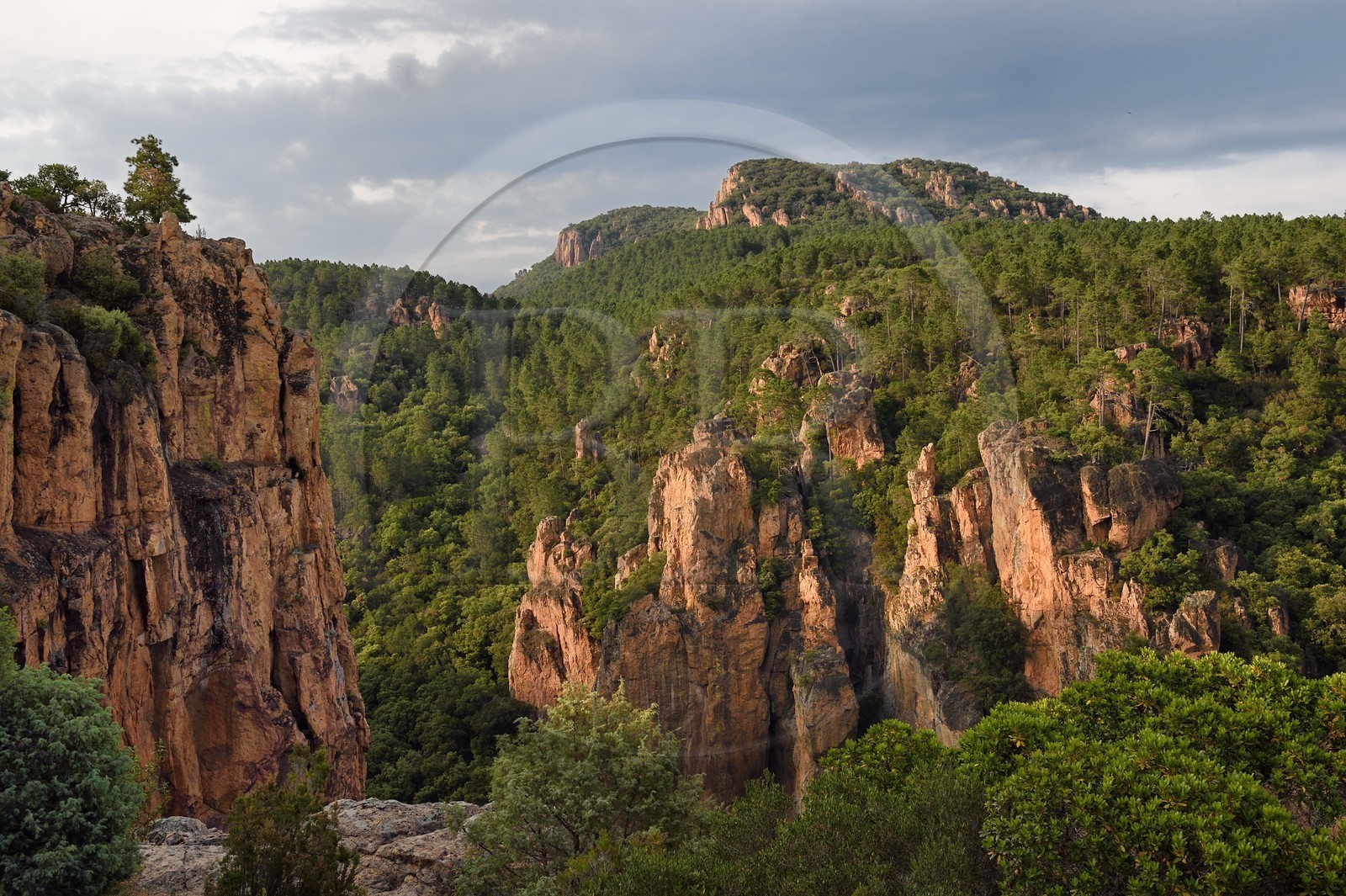 France, Var, between Bagnols en Foret and Roquebrune sur Argens, the Gorges du Blavet