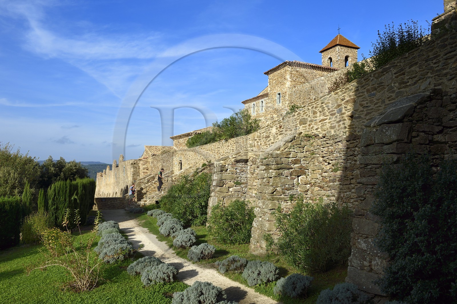 France, Var, Massif des Maures, Collobrieres, chartreuse de la Verne, external enclosure