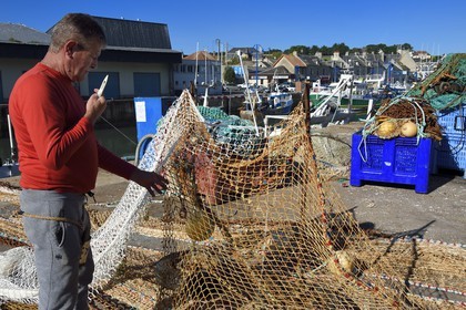France, Calvados, Cote de Nacre, Port en Bessin, the fishing port, fisherman repairing fishing nets