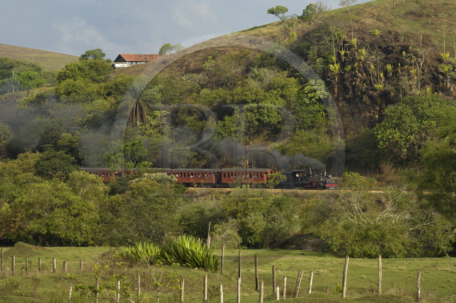 Brazil, Minas Gerais state, Maria Fumaça steam train going from Sao Joao del Rei to Tiradentes