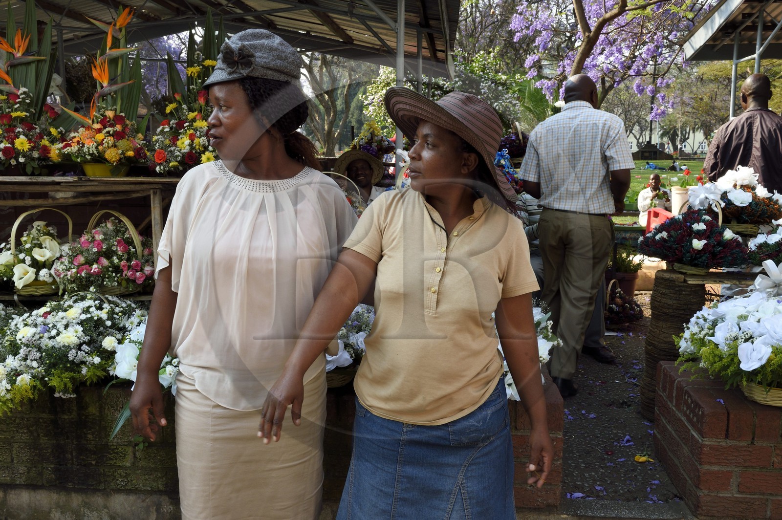Zimbabwe, Harare, fleuristes sur la place African Unity Square (anciennement Cecil Square)