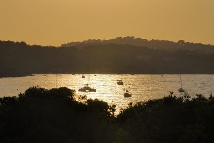 France, Var, sunset on the Presqu'ile de Giens