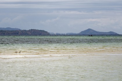 France, Ile de Mayotte, Grande-Terre, M'Tsamoudou, ilot de sable blanc sur le récif de corail dans la lagune face à la pointe Saziley