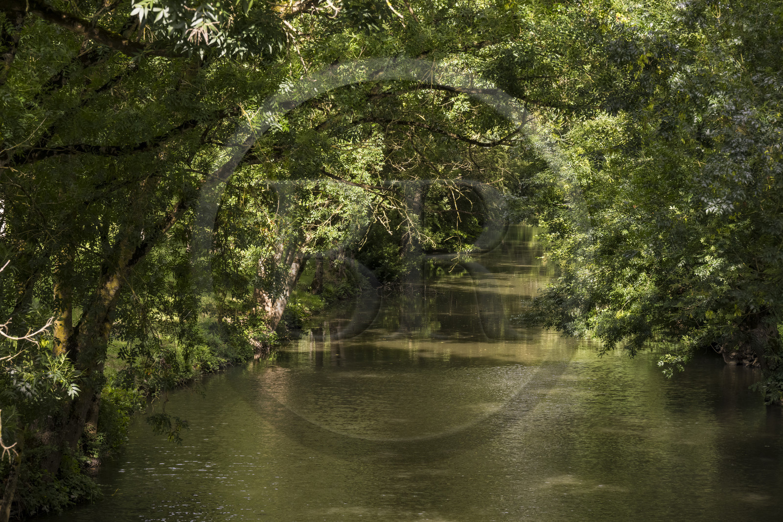 France, Deux-Sèvres, le Marais Poitevin, Green Venice, Le Vanneau-Irleau, one of the countless canals