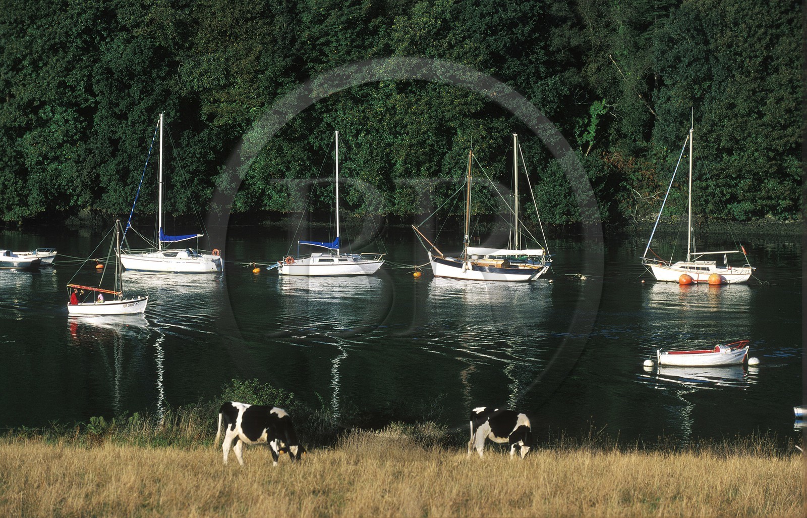 France, Finistère (29), région de L´Aber Wrac'h près du port de Paluden