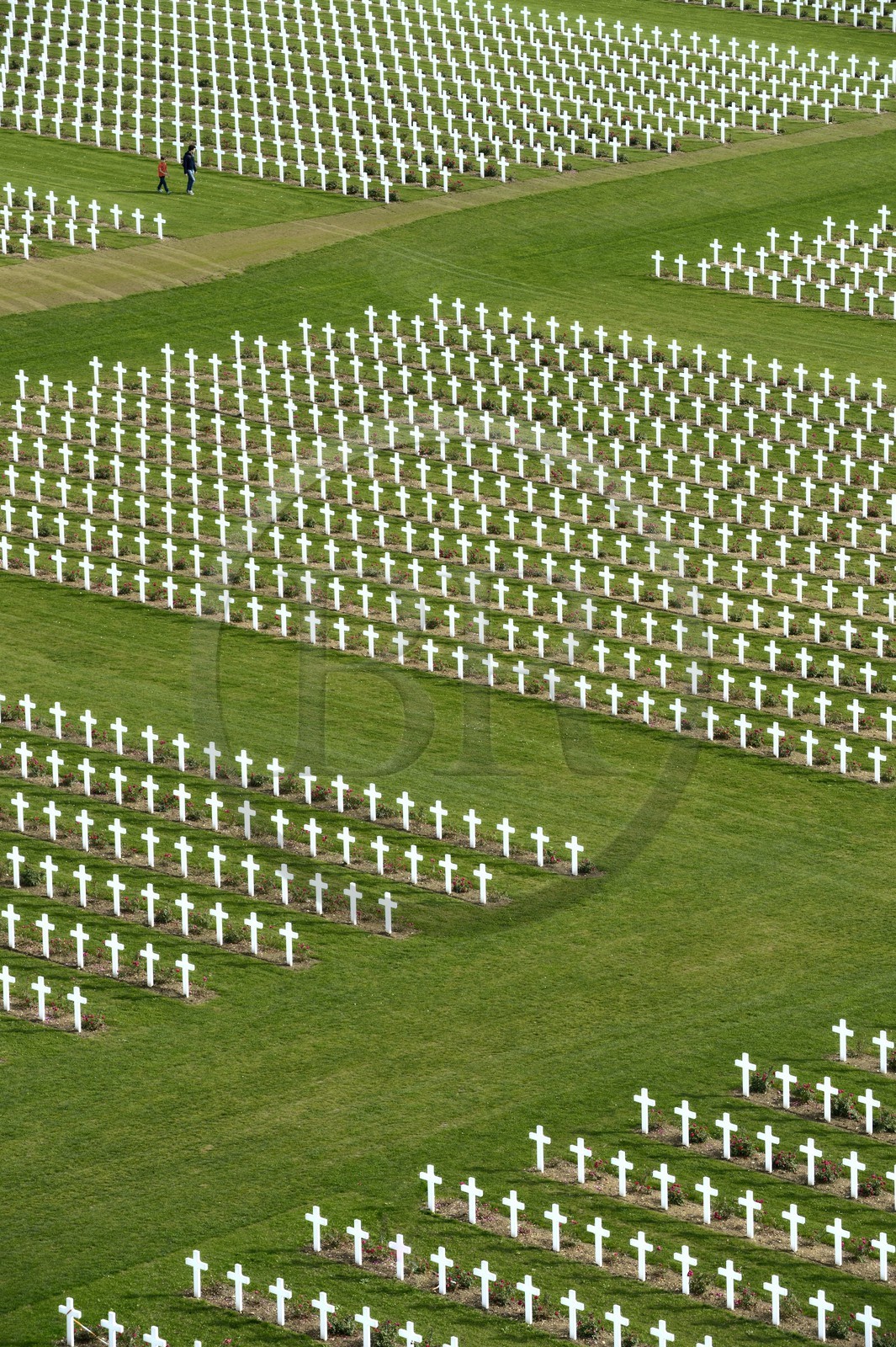France, Meuse, Douaumont, battle of Verdun, ossuary of Douaumont, national necropolis, graves of soldiers alignment
