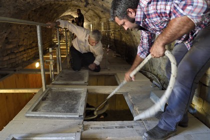 France, Bouches-du-Rhône (13), Arles, les Arènes, amphithéâtre romain de 80-90 après JC, classé Patrimoine Mondial de l'UNESCO, arrivée des taureaux dans le toril situé sous les tribunes