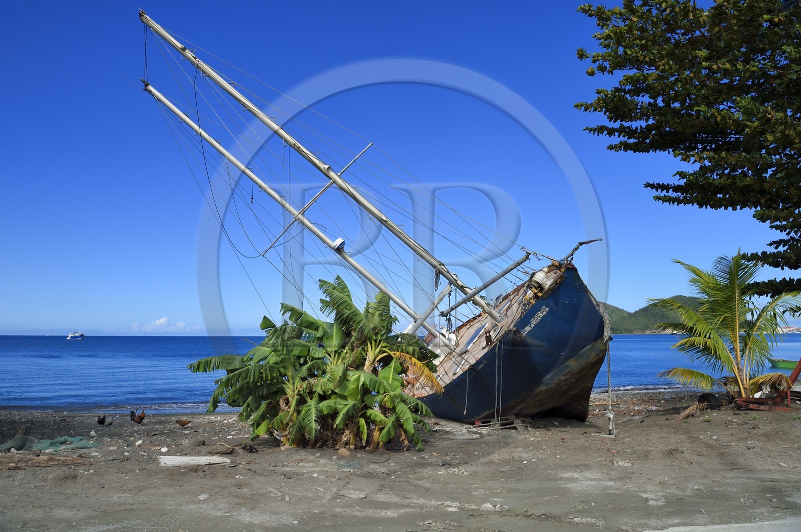 Caribbean, Dominica Island, Portsmouth, Prince Rupert Bay, sailing ship wreck