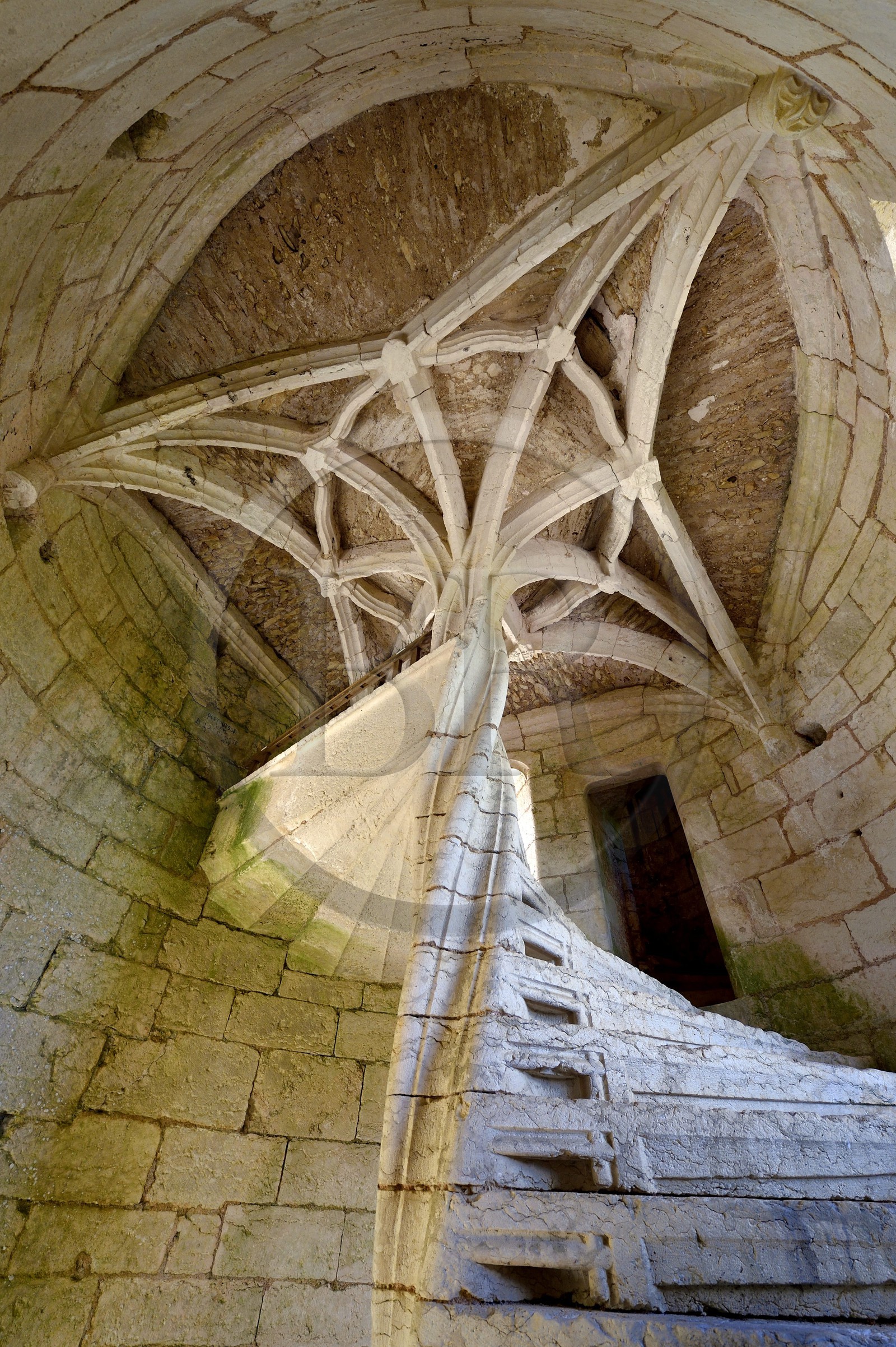 France, Dordogne (24), Rouffignac-Saint-Cernin-de-Reilhac, chateau de l'Herm, l'escalier en vis torsadée aboutissant à un palmier de pierre